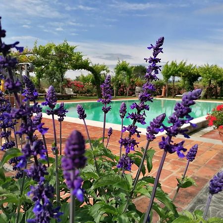Podere Piandarca Террануова-Браччолини Экстерьер фото