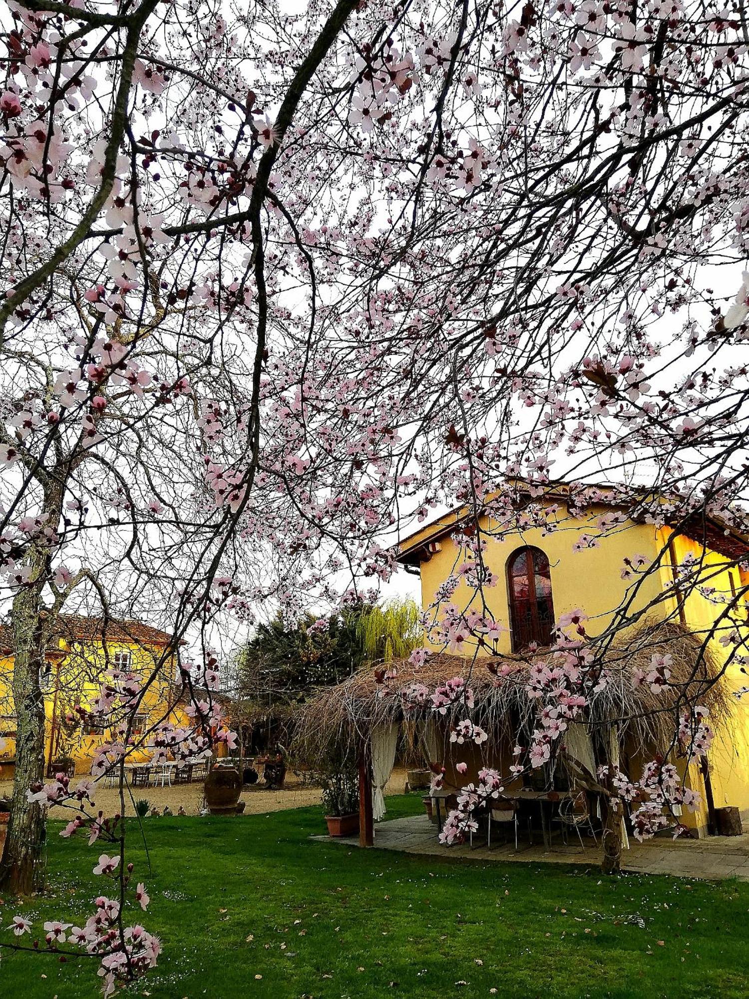 Podere Piandarca Террануова-Браччолини Экстерьер фото