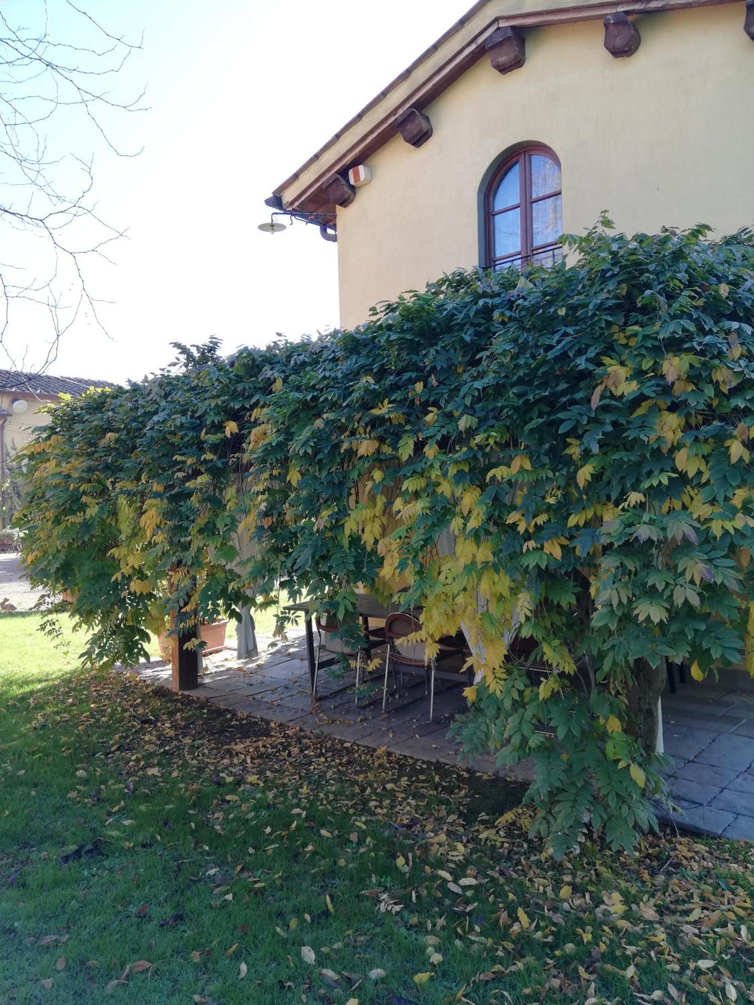 Podere Piandarca Террануова-Браччолини Экстерьер фото